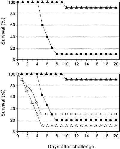 FIG. 5.