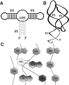 FIGURE 1.