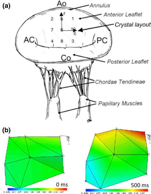 FIGURE 16