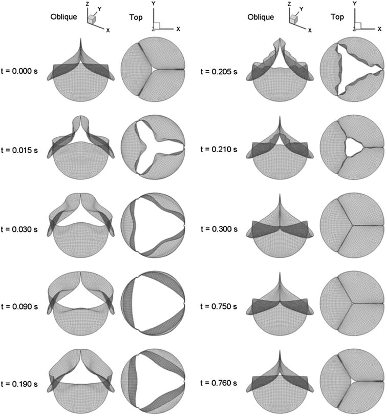 FIGURE 19