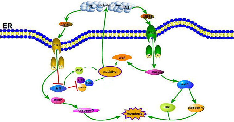 FIGURE 7