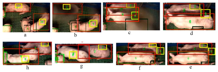 Figure 7