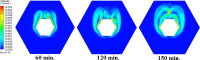 Fig. 10