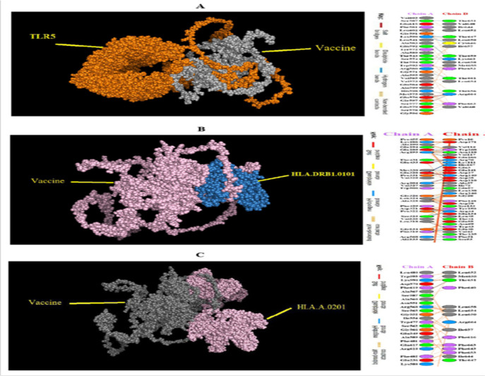 Fig. 8: