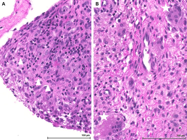 FIG 1