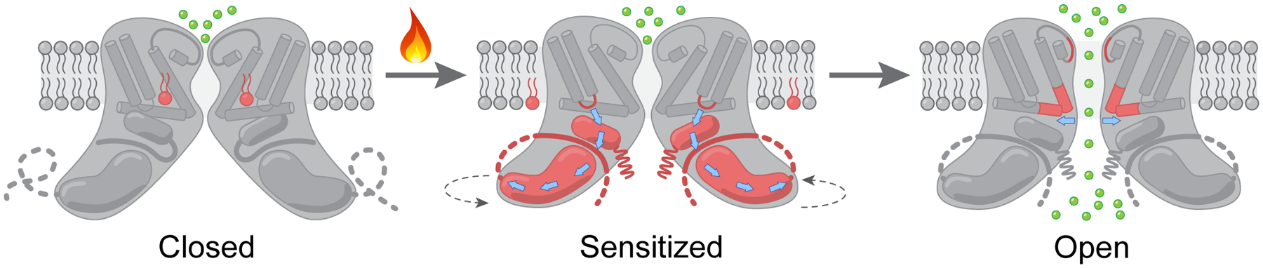 Figure 6.