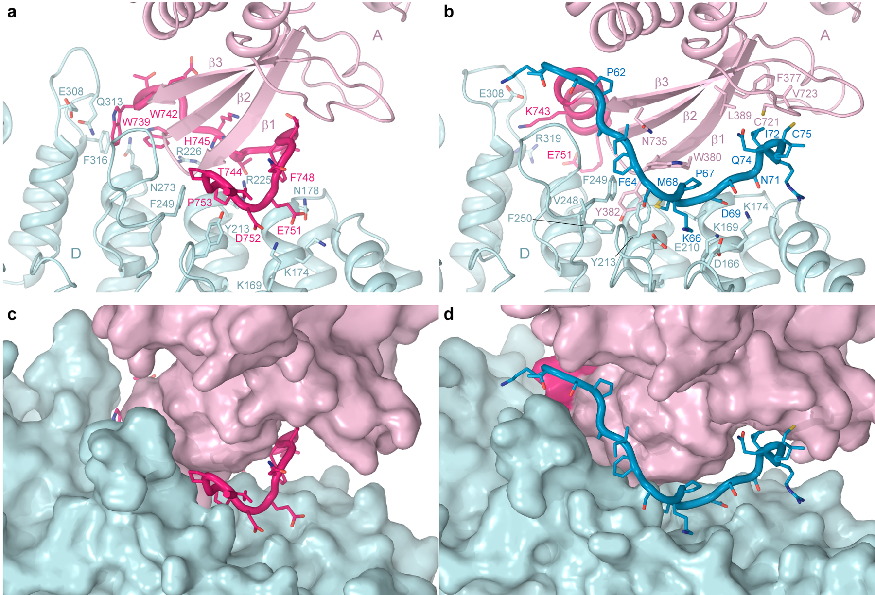 Figure 3.