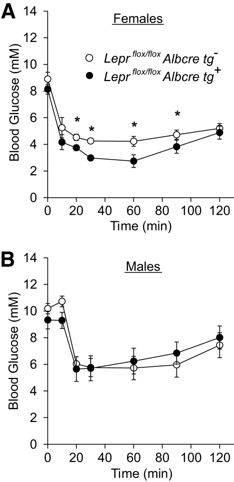 FIG. 5.