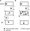 FIG. 9.