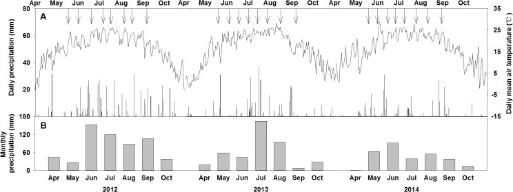 Fig 1