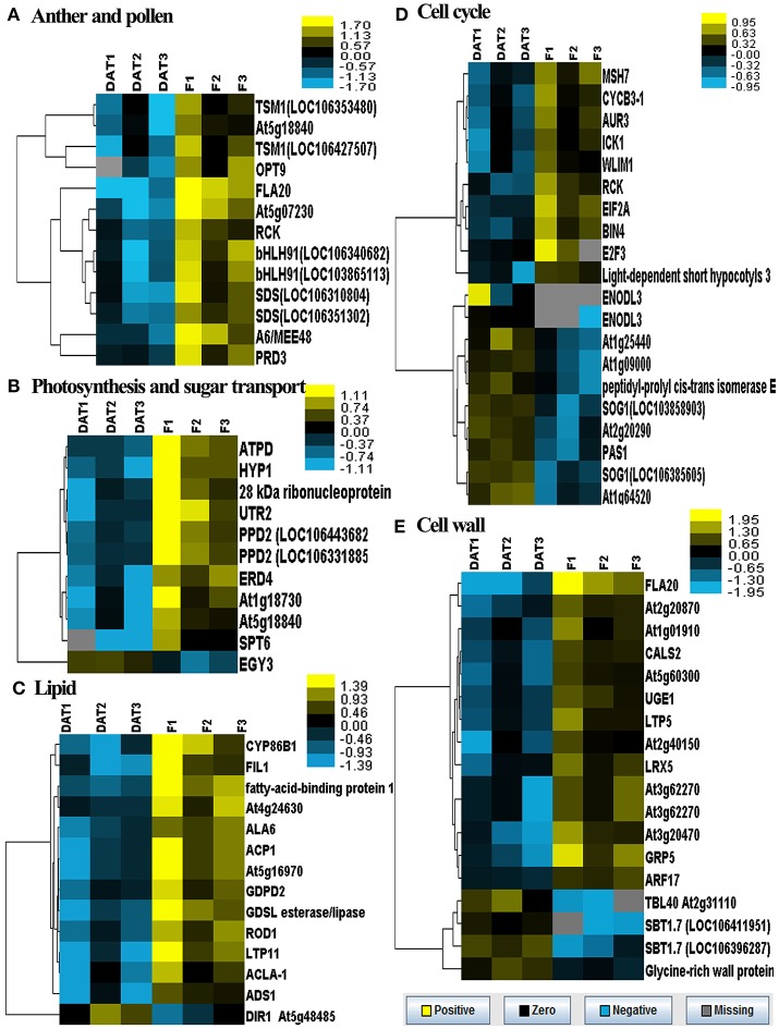 Figure 6