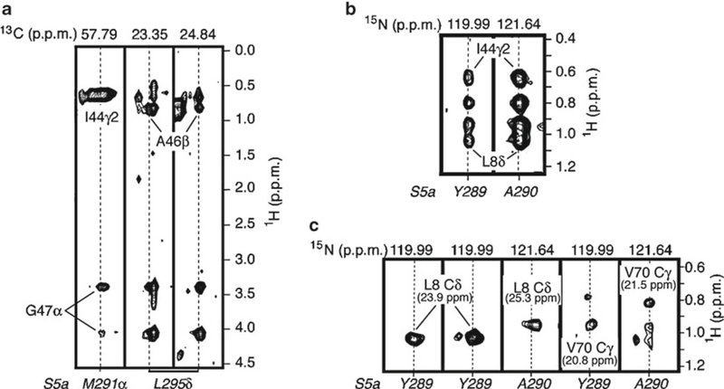 Fig. 5.