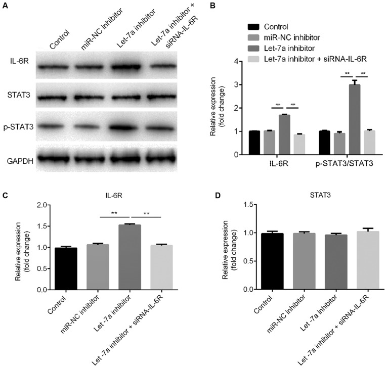 Figure 6.