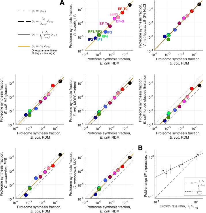 Figure 4—figure supplement 2.