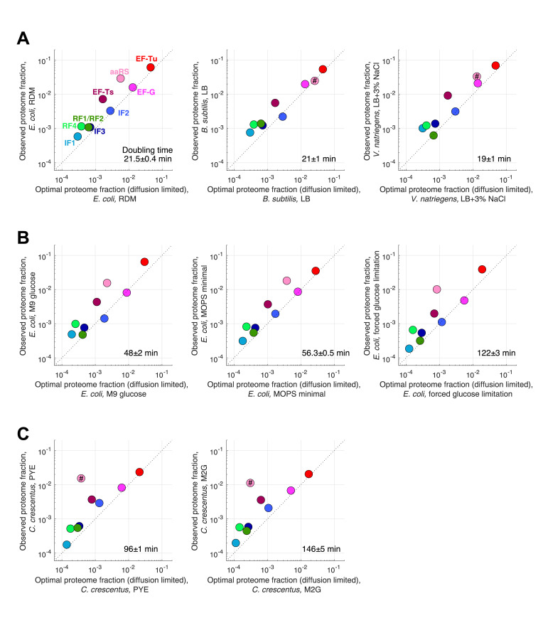 Figure 4—figure supplement 1.