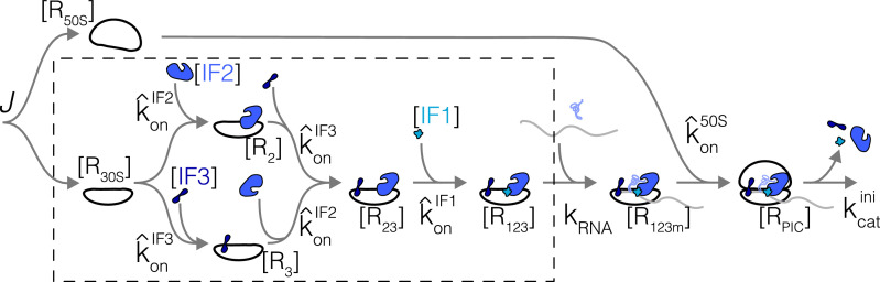 Appendix 4—figure 1.