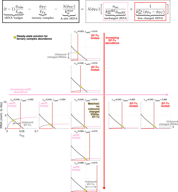 Figure 3—figure supplement 1.