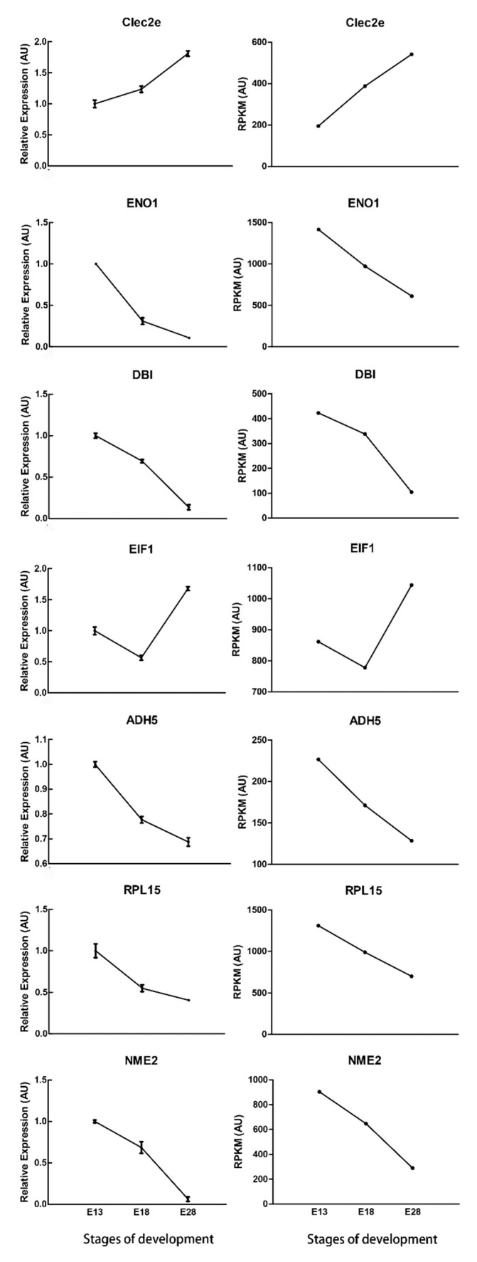 Figure 7