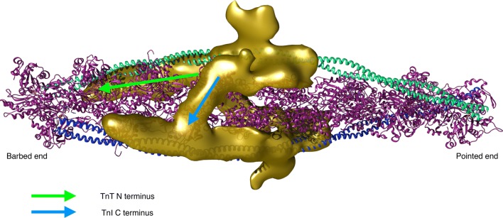 Fig. 13