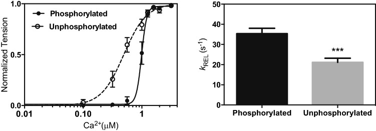 Fig. 19