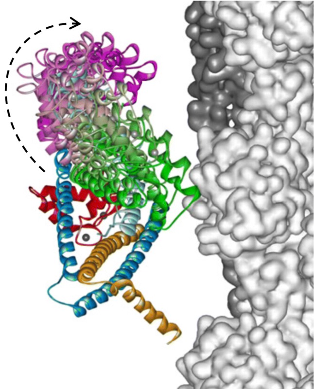 Fig. 15