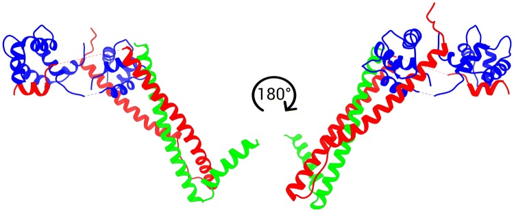 Fig. 2