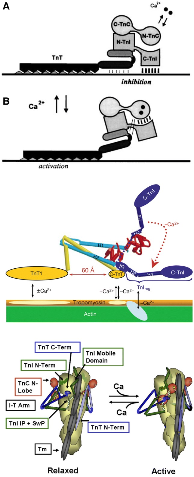 Fig. 17