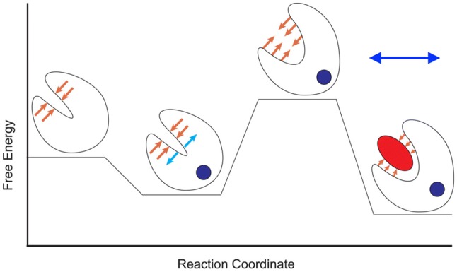 Fig. 18