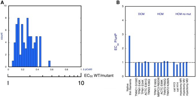 Fig. 22