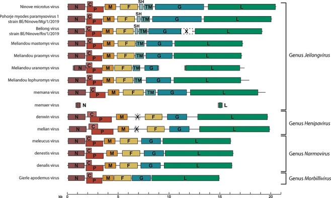 Figure 1.
