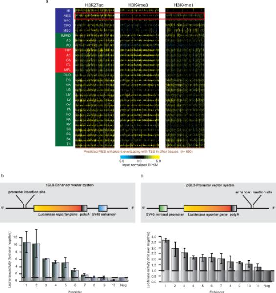 Extended data Figure 4