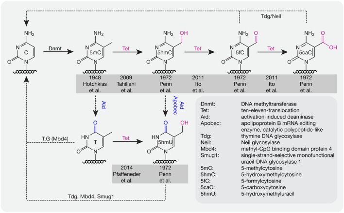 FIGURE 2