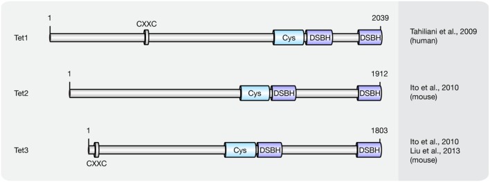 FIGURE 3