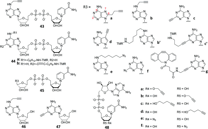 Fig. 12