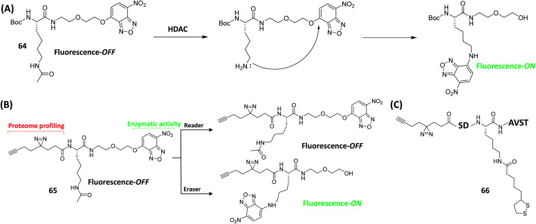 Fig. 17