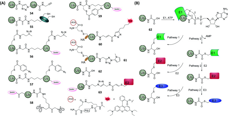 Fig. 16