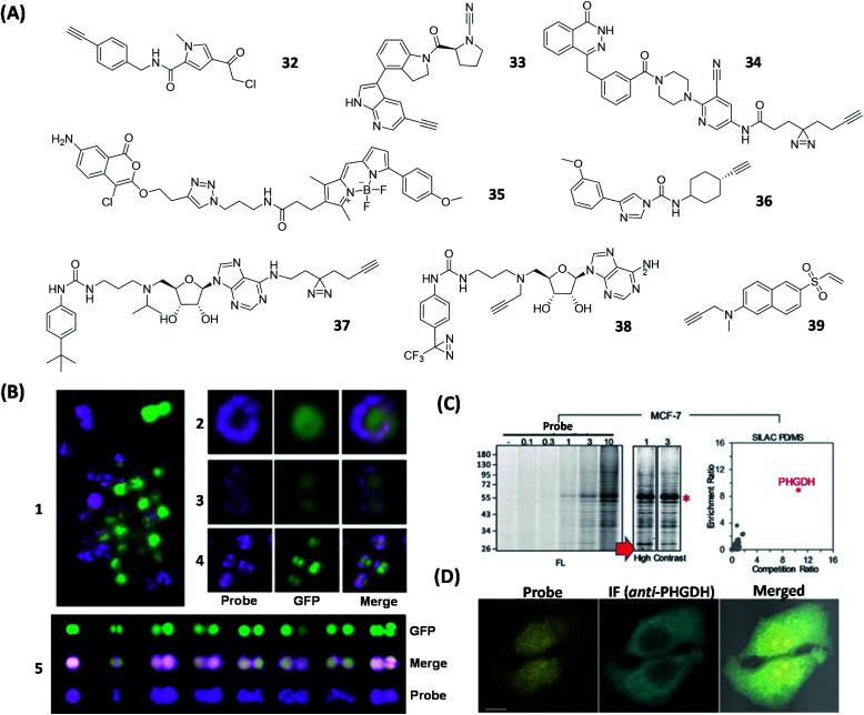 Fig. 9