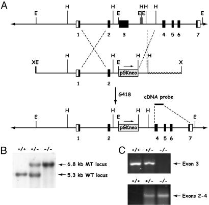 Fig 1.