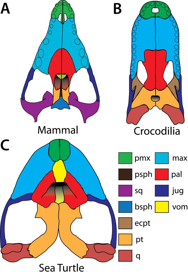 Figure 6