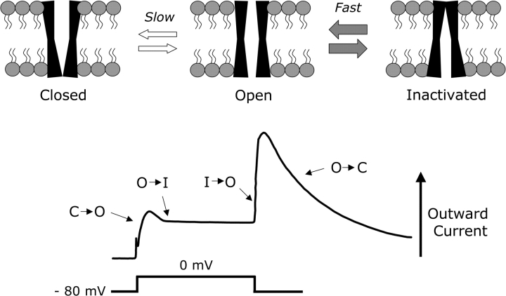 Fig. 1.