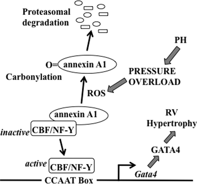 FIG. 5.