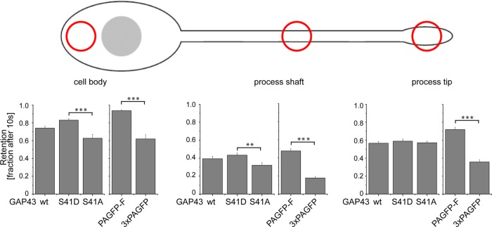 FIGURE 5: