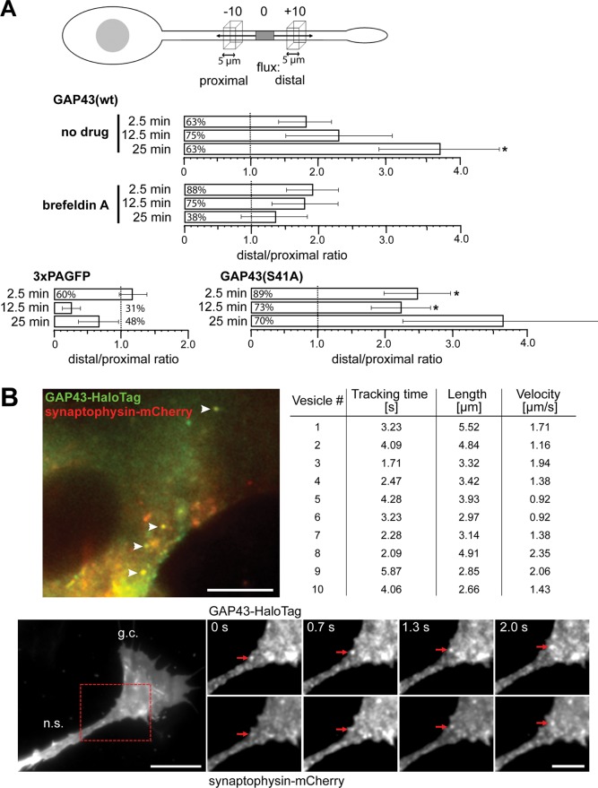 FIGURE 7: