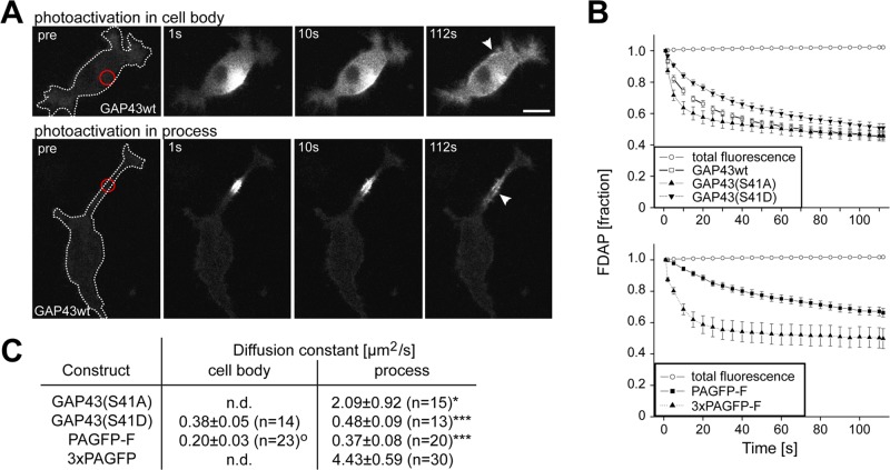 FIGURE 4: