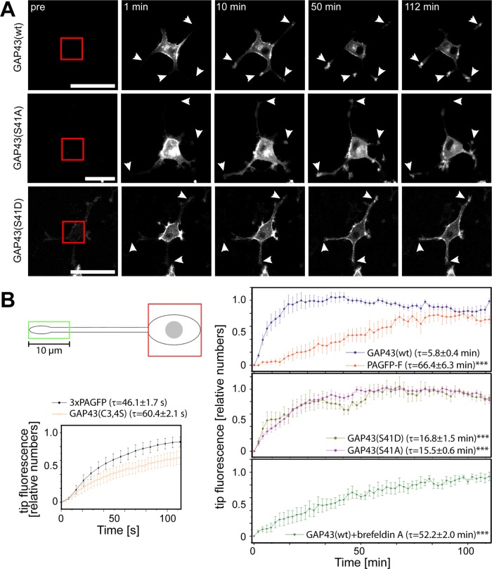 FIGURE 6: