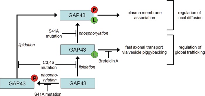 FIGURE 9: