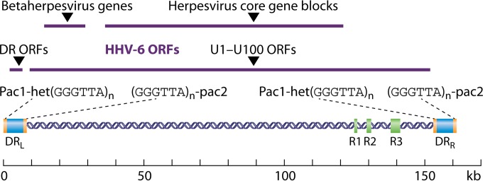 FIG 1