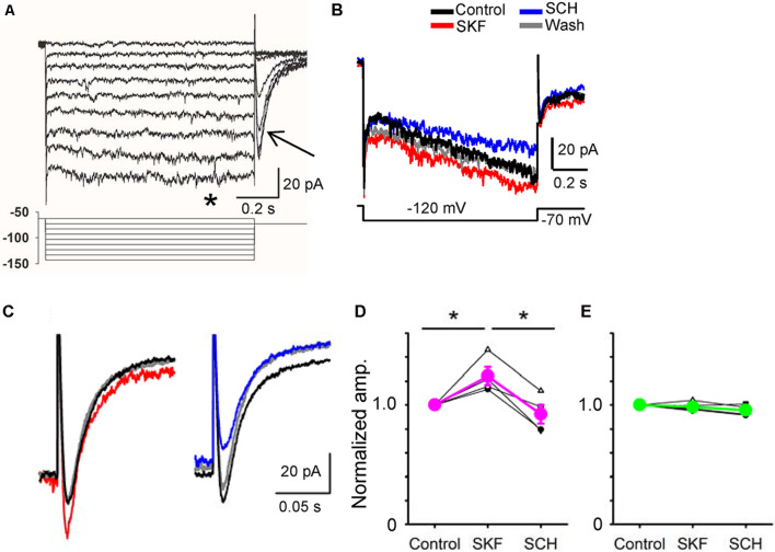 Figure 5