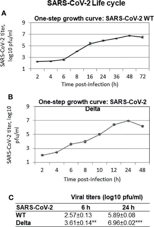 Figure 2