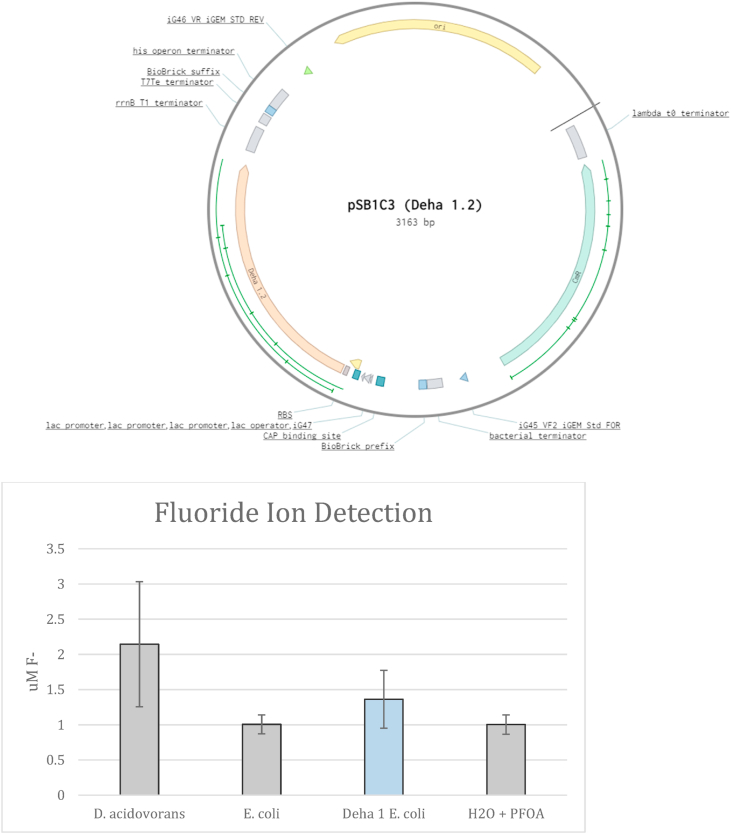 Fig. 4